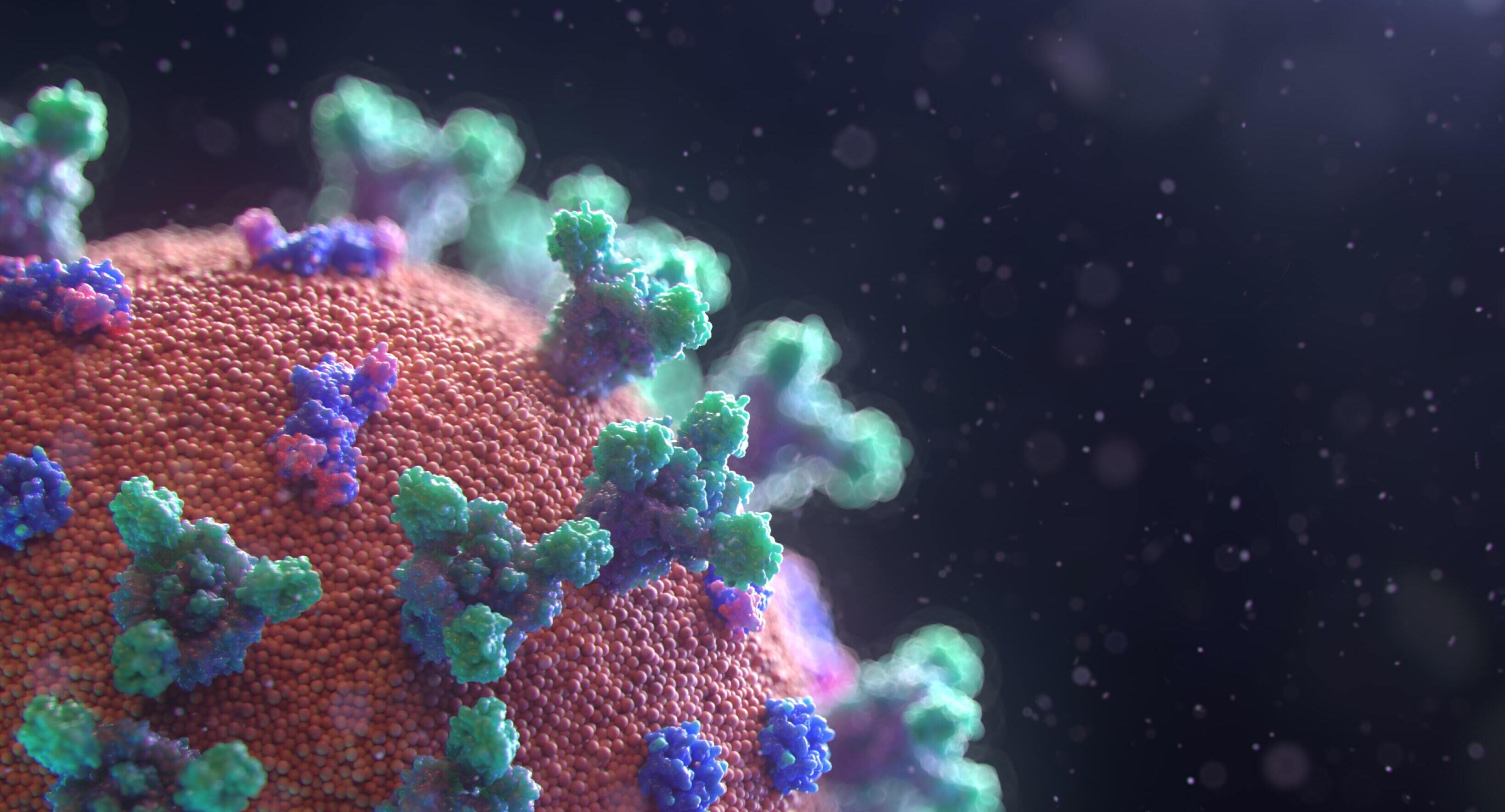 Close up image of the COVID-19 virus