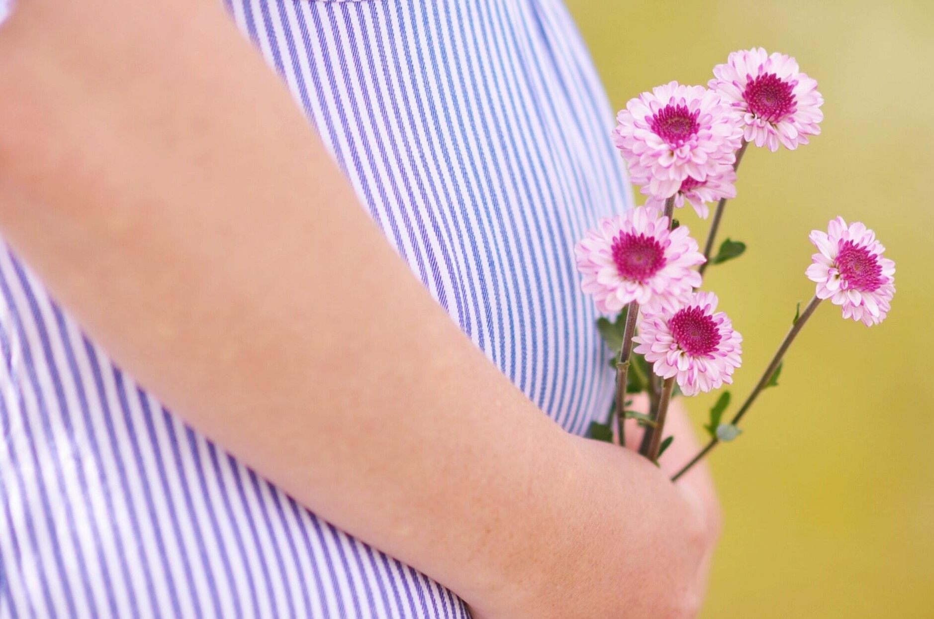 close up of pregnant mother holding flowers to her belly